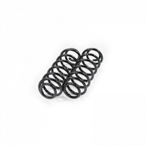 Set arcuri elicoidale spate VW PASSAT 2005-2014
