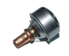 Termostat Dacia 1310