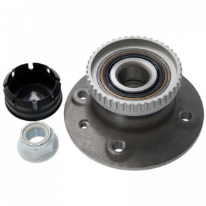 Butuc roata spate RENAULT MEGANE 1999-2003