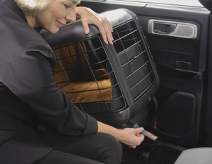 KIT ISOFIX CUTIE TRANSPORT ANIMAL DE COMPANIE pana la 8 kg FORD TRANSIT 2014-2024 - Img 3