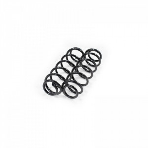 Set arcuri elicoidale spate VW NEW BEETLE 1998-2010