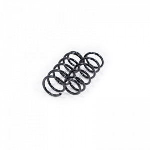 Set arcuri elicoidale spate AUDI A6 1997-2005