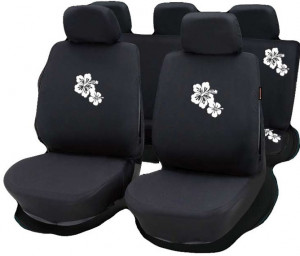 Set huse scaun