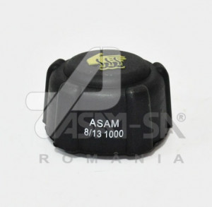 Buson vas expansiune Dacia Duster/ Dacia Lodgy/ Dacia Logan/ Dacia Sandero - Img 2