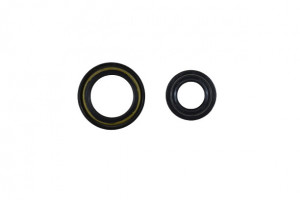 Kit Reparatie Caseta Directie RENAULT LAGUNA 1993-2001