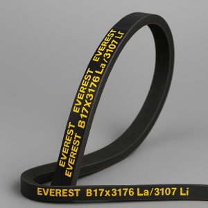 Curea trapezoidală EVEREST B 17×3176 La