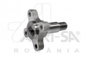Butuc roata spate Dacia Duster 4x2