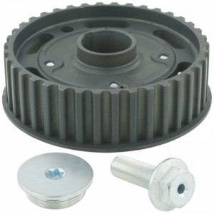 Rolie defazatoare arbore cu came RENAULT MEGANE 1995-2015