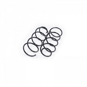 Set arcuri elicoidale fata FIAT BRAVO 1995-2001