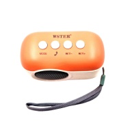 BOXA WSTER WS - 315 - Img 2