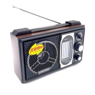 RADIO PORTABIL LEOTEC LT 801 ACUMULATOR 12 BENZI FM MW SW 1-9 - Img 3