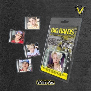 WayV - Big Bands (Smini Ver.) Random Cover