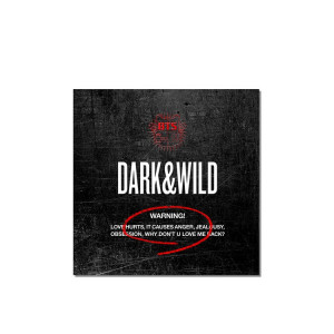 BTS - Dark & Wild