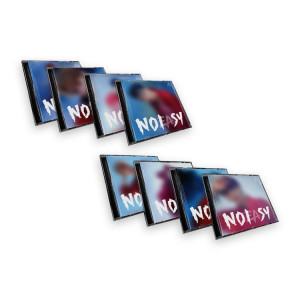 Stray Kids - NoEasy (Jewel Case) Random