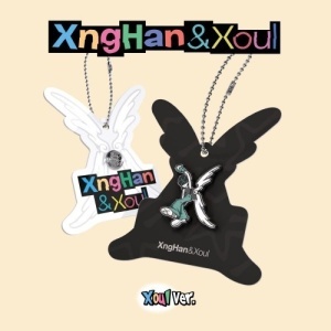 XngHan&Xoul - Waste No Time (Xoul Ver.) Smart Album (Random Cover)
