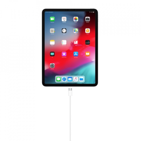 CABLU USB-C LA USB-C 1M PENTRU INCARCATOR APPLE iPad Pro 11" (2. - 3. gen) - Img 2