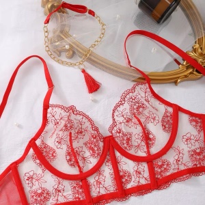 Set lenjerie intima sexy brodata, cu insertii de tul si lanturi decorative, rosu/ nude, 4 piese #BB4119 - Img 13