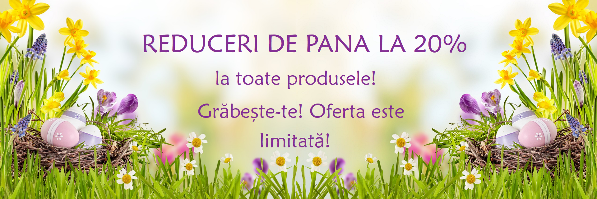 Profita si tu de Reducerile de pana la 20% la toate produsele!