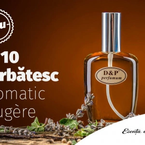 A10 - APA DE PARFUM BARBATI