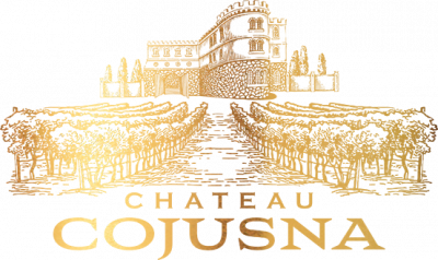 Chateau Cojusna