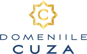 Domeniile Cuza