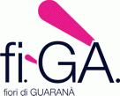 FI-GA