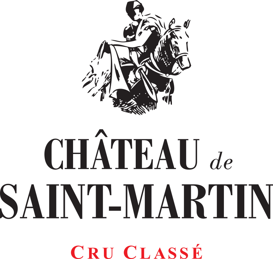 Chateau de Saint Martin