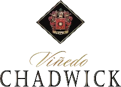 Vinedo Chadwick