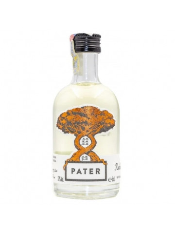 Pater Tuică de Prune 0.05L