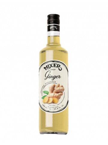 Mixer Sirop Ghimbir Bar Premium 1L