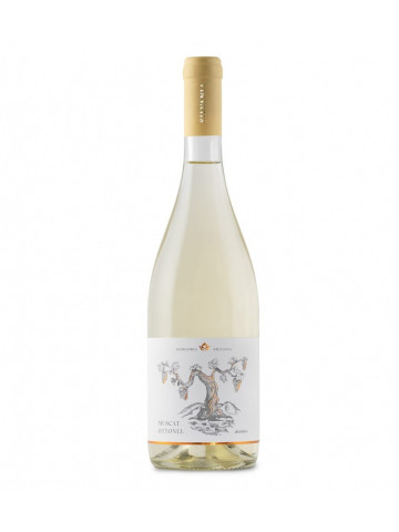 Silvania Muscat Ottonel Demisec 0.75L