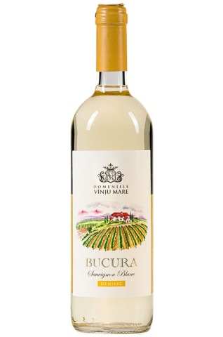 Vânju Mare Bucura Sauvignon Blanc alb demisec 0.75L
