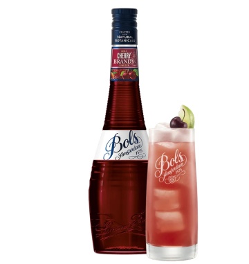 Bols Cherry Brandy 0.7L