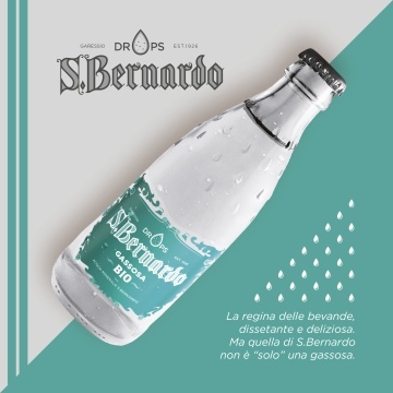 San Bernardo Gassosa 0.26L