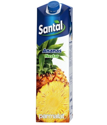 Santal Nectar de Ananas 50% 1L