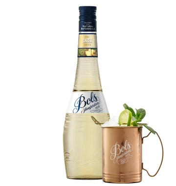 Bols Ginger 0.7L