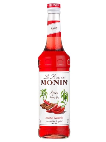 Monin Sirop Spicy 0.7L