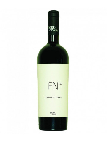 1000 de Chipuri FN14 Sforile Fintesti Feteasca Neagra 2021 0.75L