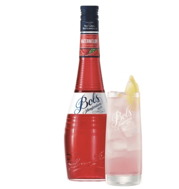 Bols Watermelon 0.7L