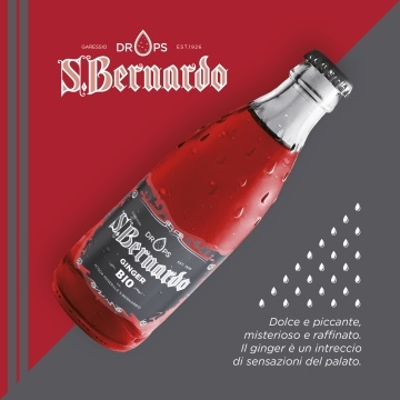 San Bernardo Ginger Bio 0.26L
