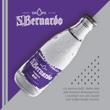San Bernardo Apa Tonica Bio 0.26L
