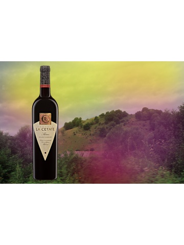 crama-oprisor-la-cetate-shiraz