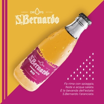 San Bernardo Aranciata Bio 0.26L