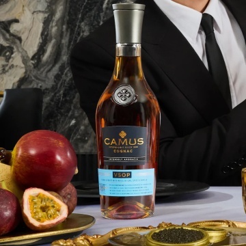 CAMUS  V.S.O.P.（COGNAC） Camus Cognac VSOP 0.7L