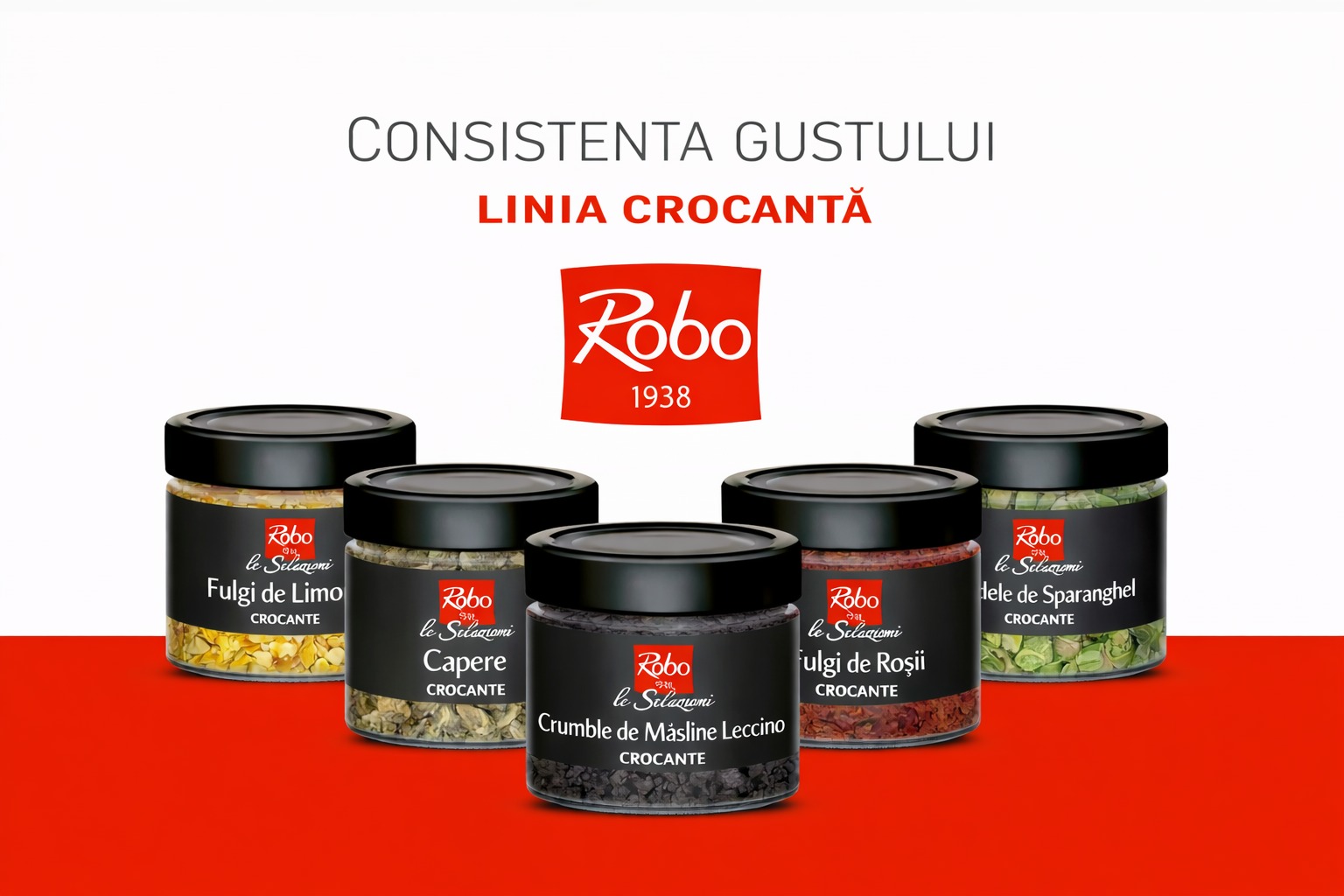 Croccanti de la Robo: ingrediente gourmet crocante pentru plating modern Horeca și rețete creative