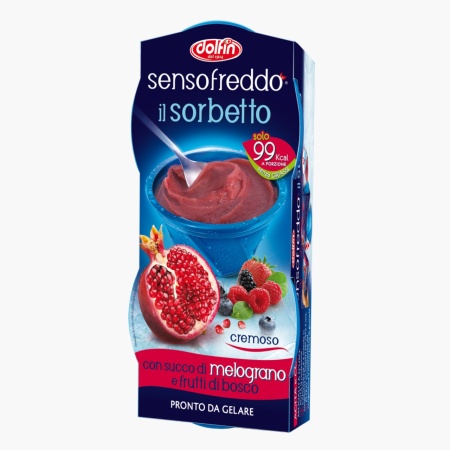 Sorbetto Sensofreddo de fructe de padure si rodie, fara gluten, Dolfin 2x100ml - Img 1