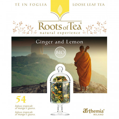 Ceai de frunze Ginger and Lemon BIO Arthemia 40 g