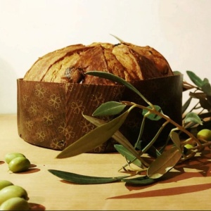 panettone sanatos cu ulei de masline vergani