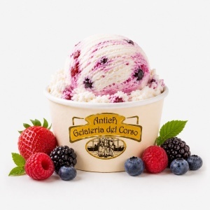 Inghetata de Iaurt cu Fructe de Padure Antica Gelateria del Corso vascheta 2.772g