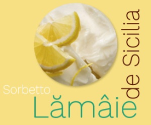 Inghetata de lamaie de Sicilia, sorbet vegan, Antica Gelateria del Corso vascheta 2.900g - Img 5